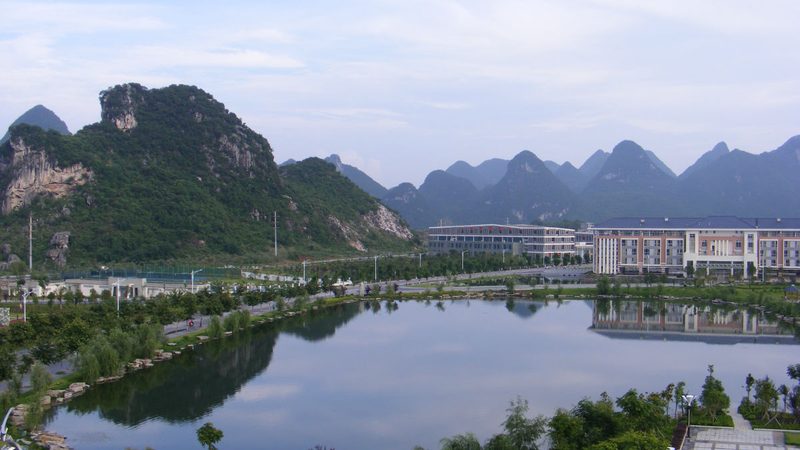 高频低阻抗电容：揭秘国产品牌的卓越性能